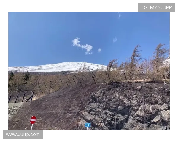 初学者登山全攻略从选择装备到安全技巧一步步教你如何轻松上山